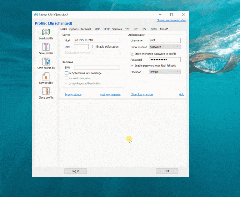 linux sql server client command line